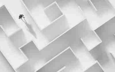 Lotsen im weiten Partner-Universum