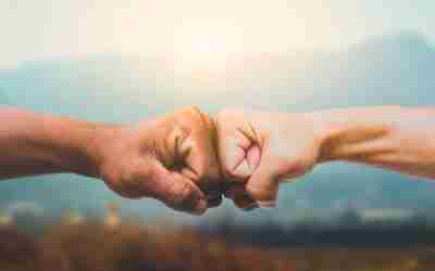 Als Channel-Partner zum Erfolg